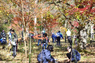 200海里の森づくり植樹事業