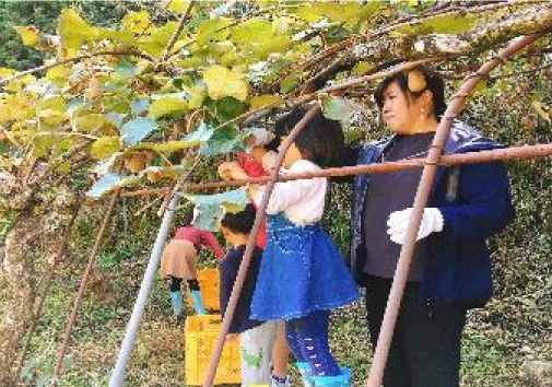 令和元年度 環境対策支援事業の支援状況