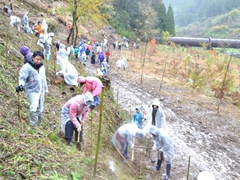 水郷ひたの森づくり